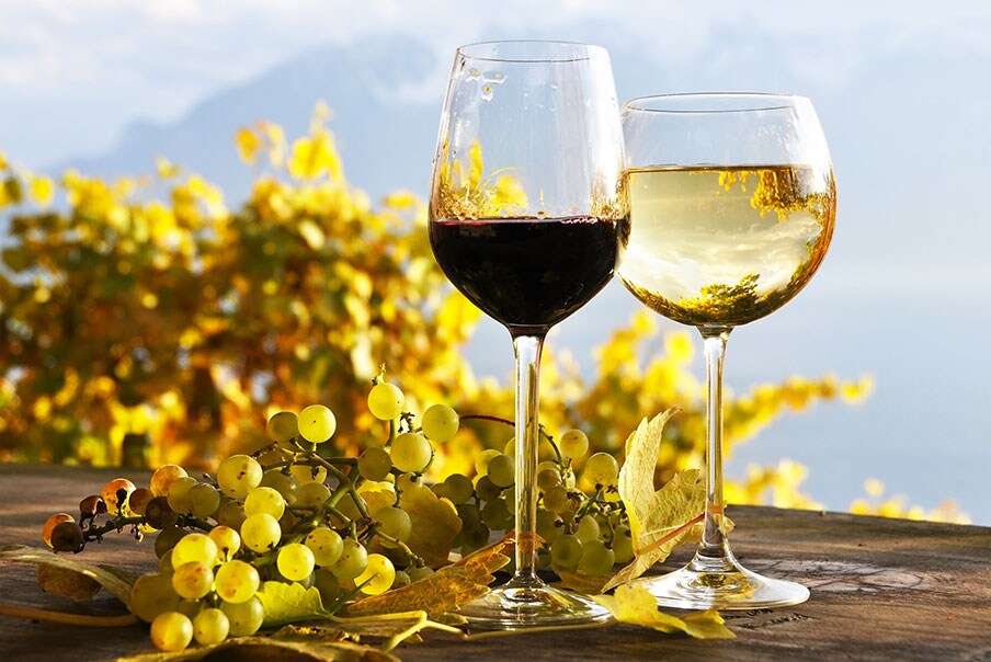 Viano bianco e vino rosso