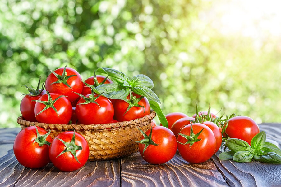 Pomodori